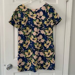 J. Crew Pale Pink and Blue Dress